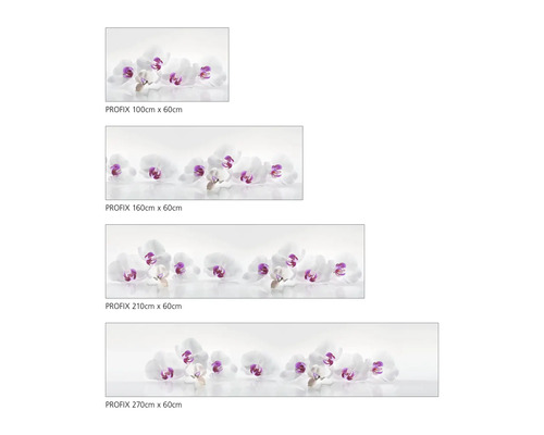 Motifs d''orchidées Profix de différentes tailles