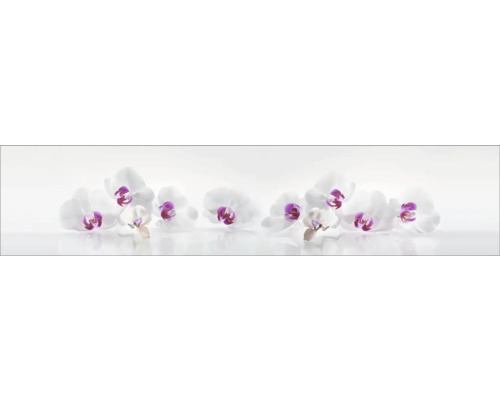 Küchenrückwand mySpotti Profix Orchidee 270 x 60 cm PX-27060-61-HB