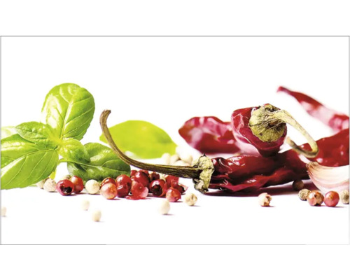 Crédence de cuisine mySpotti Profix Herbs and Spice 100 x 60 cm PX-10060-793-HB