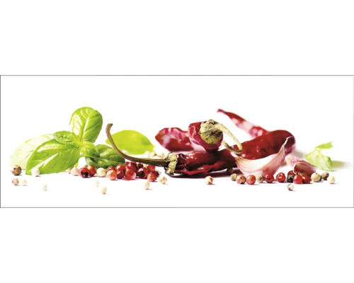 Crédence de cuisine mySpotti Profix Herbs and Spice 160 x 60 cm PX-16060-793-HB