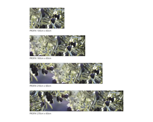 Différentes tailles du dosseret de cuisine PROFIX avec motif d''olives, de 100 cm x 60 cm à 270 cm x 60 cm