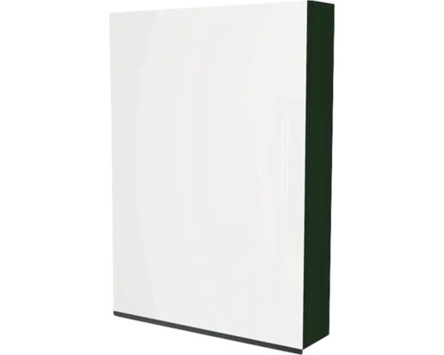 Armoire de toilette Devo Viva 2.0 gauche lxhxp 60x85x15 cm conifer green supermat