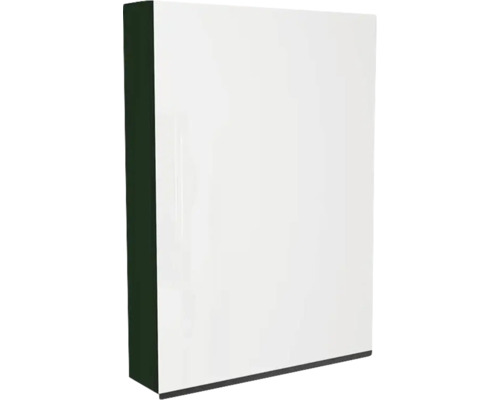 Armoire de toilette Devo Viva 2.0 droite lxhxp 60x85x15 cm conifer green supermat