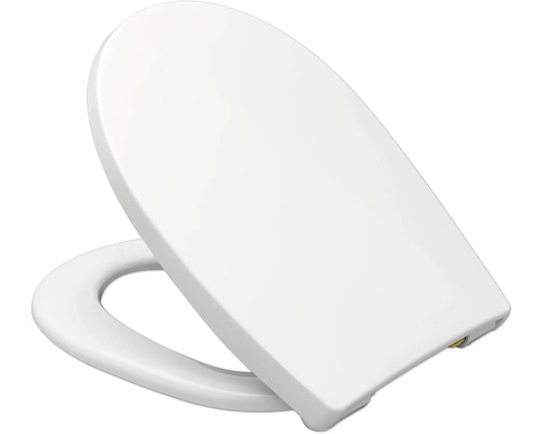 Couvercle de toilette en plastique