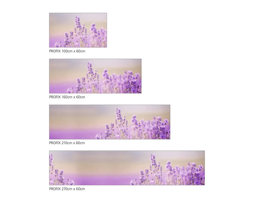 Films décoratifs de différentes tailles avec des motifs de lavande