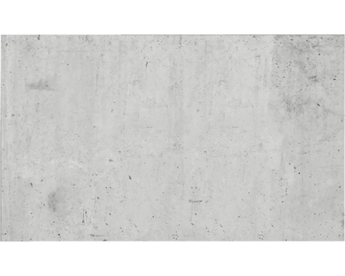 Crédence de cuisine mySpotti Profix Blank mur en béton 100 x 60 cm PX-10060-1587-HB