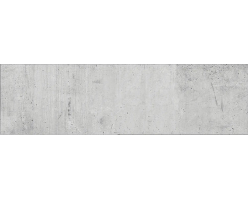 Crédence de cuisine mySpotti Profix Blank mur en béton 210 x 60 cm PX-21060-1587-HB