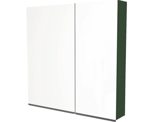 Armoire de toilette Devo Viva 2.0 gauche lxhxp 70x85x15 cm conifer green supermat