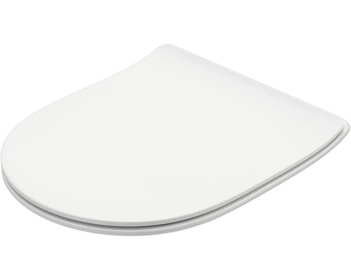 Toilettendeckel