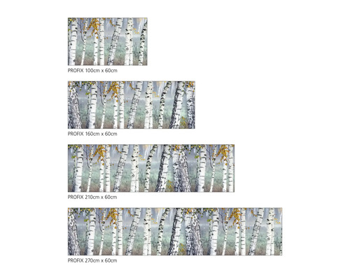Films décoratifs PROFIX de différentes tailles avec motif de bouleau