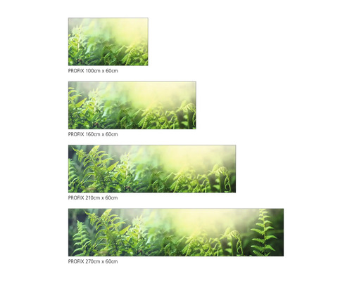 Films décoratifs de différentes tailles avec un motif de fougère