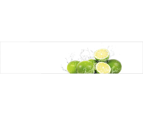 Küchenrückwand mySpotti Profix Aqua-Limette 270 x 60 cm PX-27060-35-HB Küchenrückwand mySpotti Profix Aqua-Limette 270 x 60 cm PX-27060-35-HB
