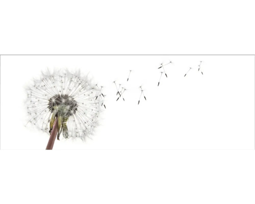 Küchenrückwand mySpotti Profix Dandelion 160 x 60 cm PX-16060-1508-HB Küchenrückwand mySpotti Profix Dandelion 160 x 60 cm PX-16060-1508-HB