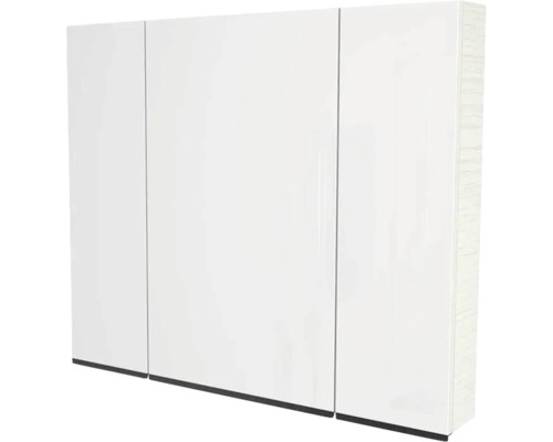 Armoire de toilette Devo Viva 2.0 lxhxp 100x85x15 cm structure white