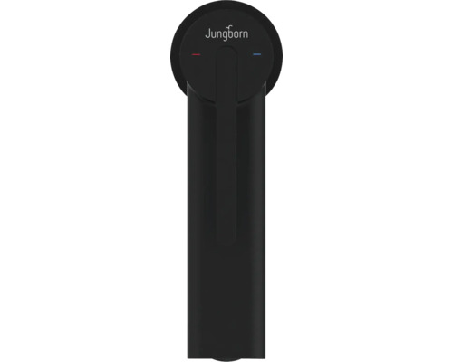Robinet avec logo Jungborn pour lavabos