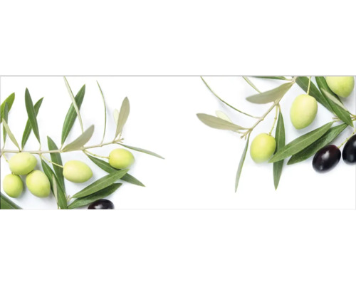 Crédence de cuisine mySpotti Profix branches d'olives 160 x 60 cm PX-16060-1885-HB