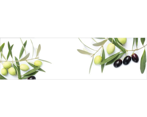 Crédence de cuisine mySpotti Profix branches d'olives 210 x 60 cm PX-21060-1885-HB