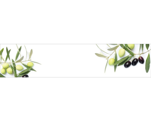 Crédence de cuisine mySpotti Profix branches d'olives 270 x 60 cm PX-27060-1885-HB