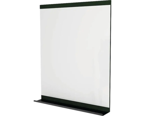 Spiegel mit Ablage Devo Viva 2.0 BxHxS 70x85x12 cm conifer green supermatt/black Projektionswand mit schwarzem Rahmen für Präsentationen