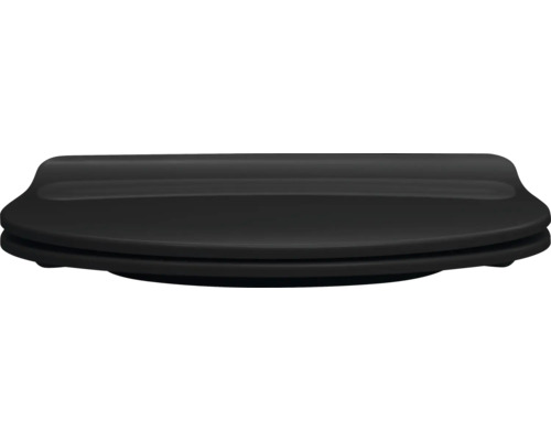 Toilettendeckel aus Kunststoff