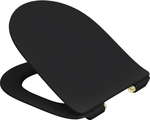 Abattant de WC en duroplaste