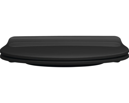 Abattant de WC en plastique