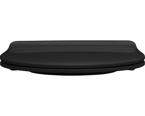 Toilettendeckel aus Kunststoff