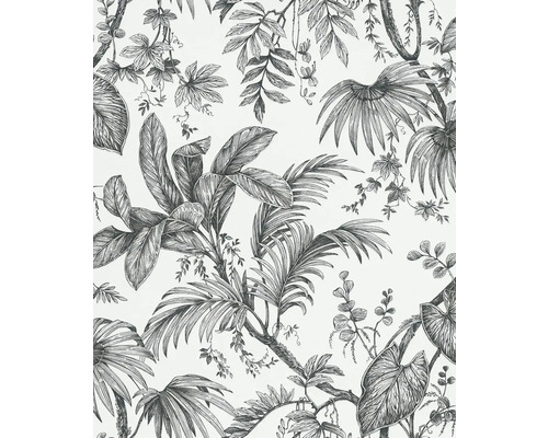 Papier peint intissé 82337 Jackie feuilles de la jungle noir