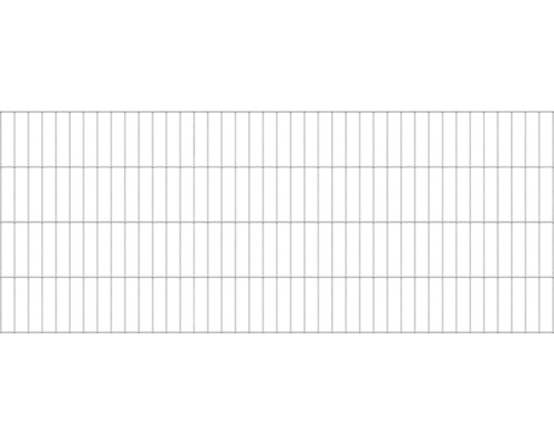 Kit grillage rigide double fils zinc