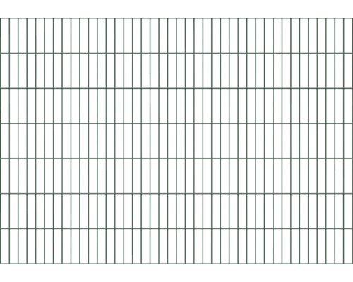 Panneau rigide double fil ALBERTS 6/5/6 200 x 140 cm vert