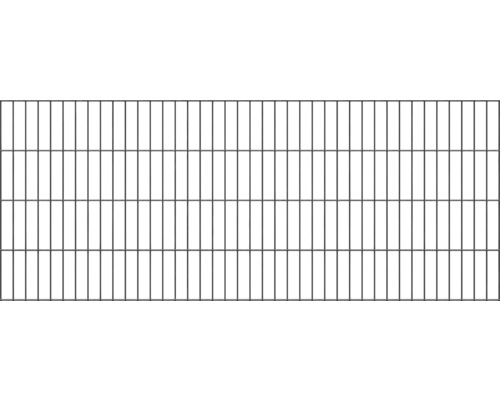 Doppelstabmatte ALBERTS 6/5/6 200 x 80 cm anthrazit