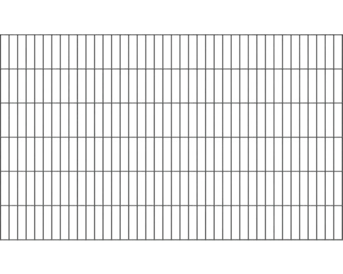 Doppelstabmatte ALBERTS 6/5/6 200 x 120 cm anthrazit Metallgitterzaun