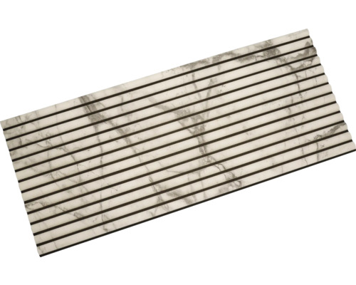 Panneau mural avec structure en marbre et moulures décoratives