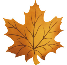 Feuille d''érable pour la décoration
