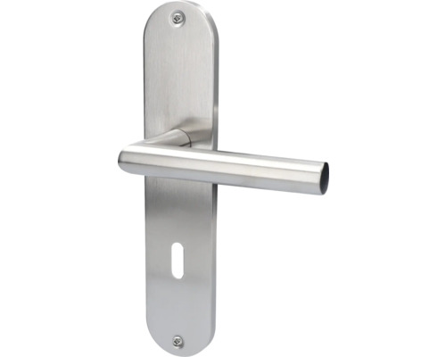 Poignée de porte en acier inoxydable avec plaque longue