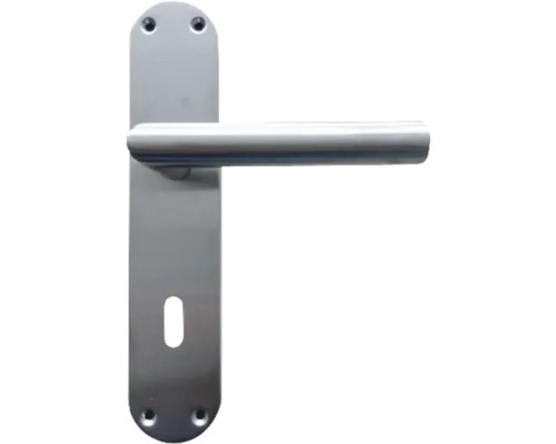 Poignée de porte en métal avec plaque longue
