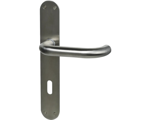 Poignée de porte en acier inoxydable avec plaque longue