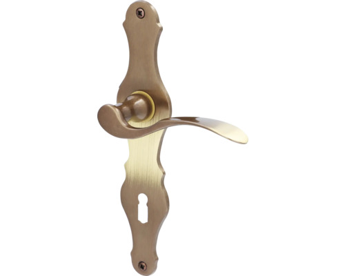 Poignée de porte en métal avec rosace de clé