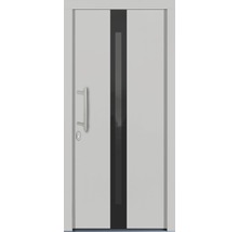 Porte d''entrée avec poignée et insert en verre