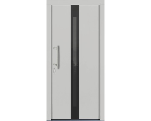 Porte d''entrée avec poignée et insert en verre