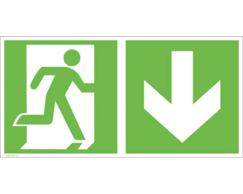 Plaque d'avertissement Issue de secours vers le bas 300 x 150 mm luminescente Panneau de sortie de secours avec un pictogramme d''une personne qui court et une flèche vers le bas