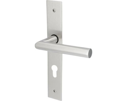 Poignée de porte en acier inoxydable avec rosace de clé