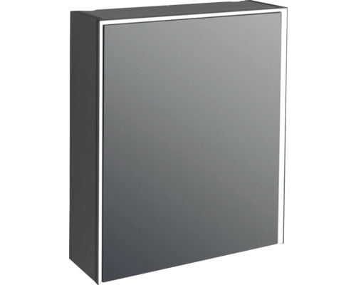 LED Spiegelschrank Jungborn QUATTRO/NOVE/SEDICI BxHxT 60x70x20 cm schwarz matt