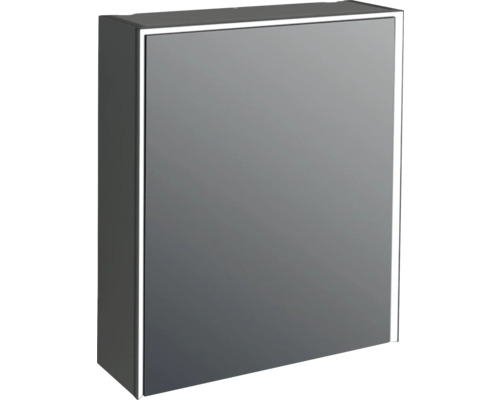 Armoire de toilette à LED Jungborn QUATTRO/NOVE/SEDICI lxhxp 60x70x20 cm noir mat