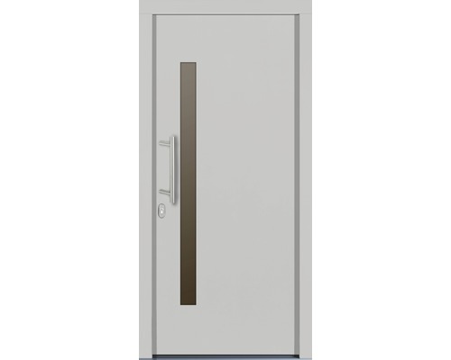 Moderne Haustür mit Glaseinsatz und Griff