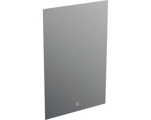 Miroir de salle de bains à LED Jungborn QUATTRO/NOVE/SEDICI 60x90 cm Miroir rectangulaire avec éclairage