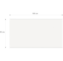 Rechteckiger Spiegel, 100 mal 55 Zentimeter