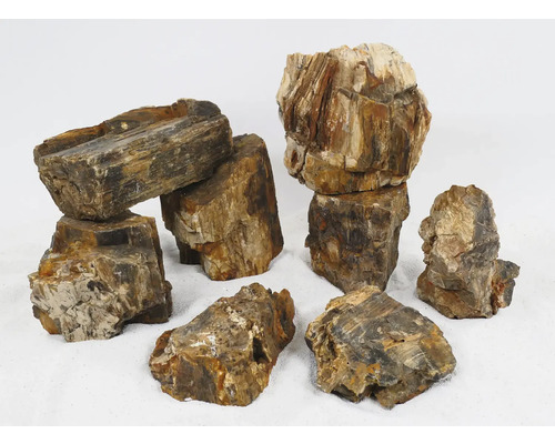 Dekorative versteinertes Holz Elemente für den Garten