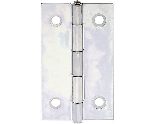 Charnière étroite avec tige en laiton rivetée, 51 x 30 mm galvanisation sendzimir Paumelle de porte en métal