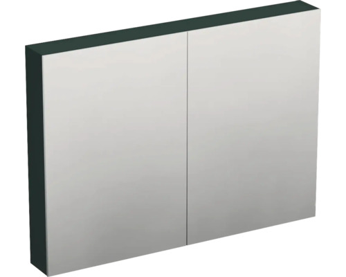 Armoire de toilette Jungborn TRENTA lxhxp 100x72x14.4 cm vert salvia mat